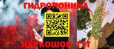 соль курить ск Кингисепп